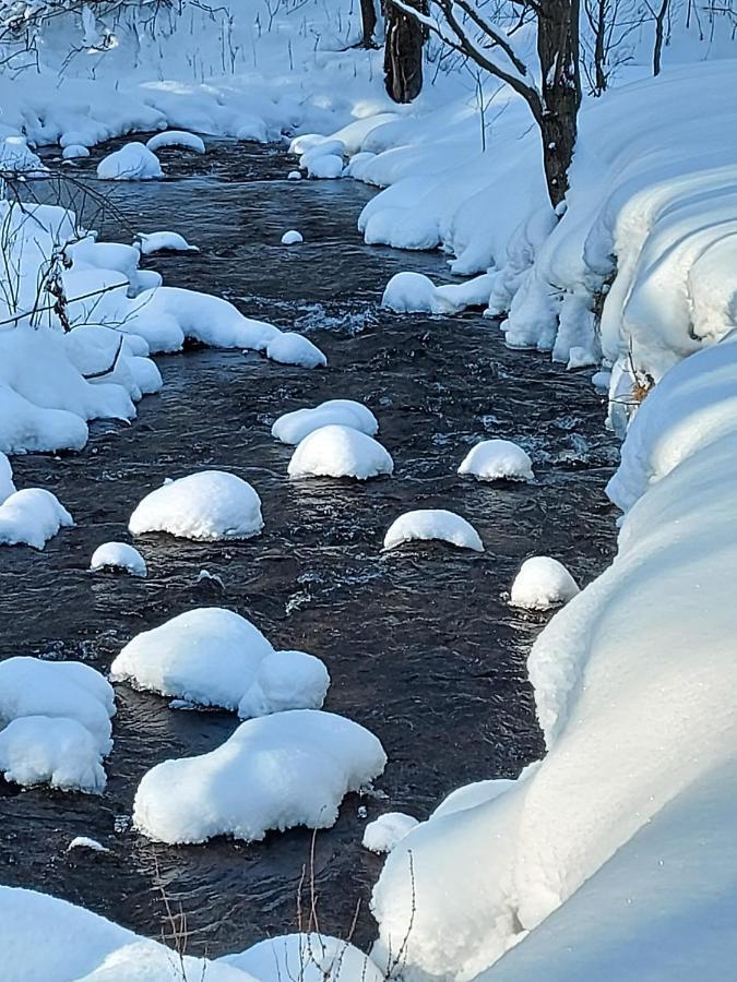 Domek Nad Potokiem Stronie Śląskie Exteriör bild
